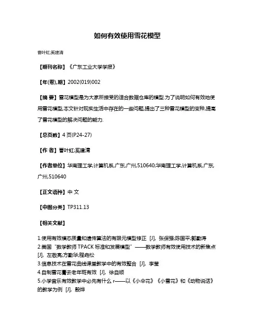 如何有效使用雪花模型