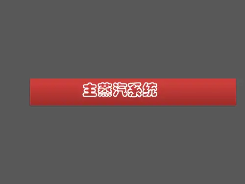 主蒸汽系统