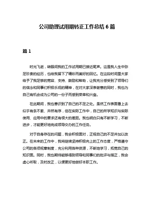 公司助理试用期转正工作总结6篇