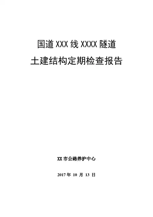 公路工程隧道土建结构定期检查报告