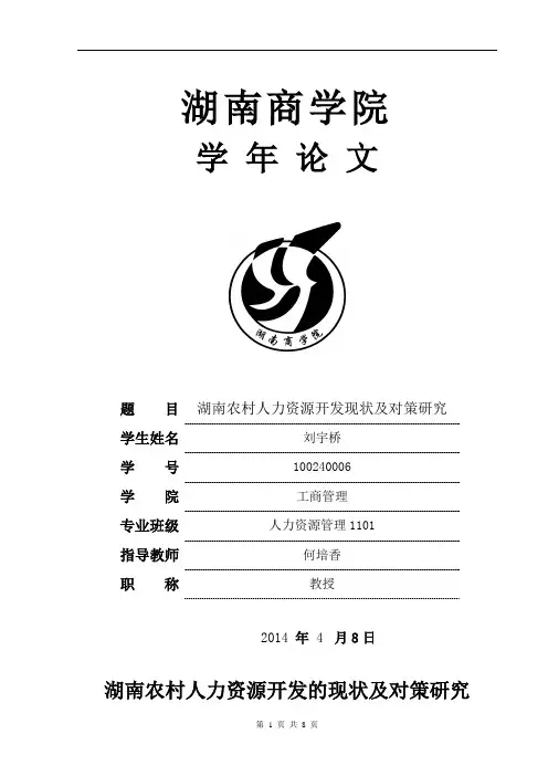 湖南农村人力资源开发的措施研究