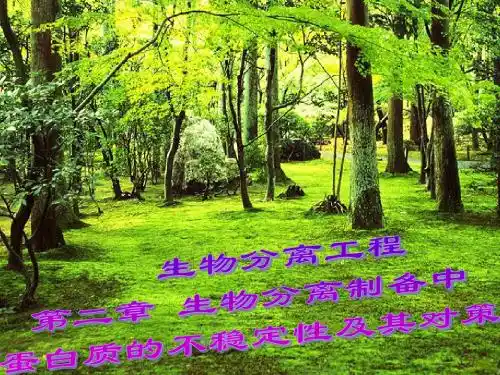 生物分离工程2(生物分离中蛋白质的不稳定性及其对策)