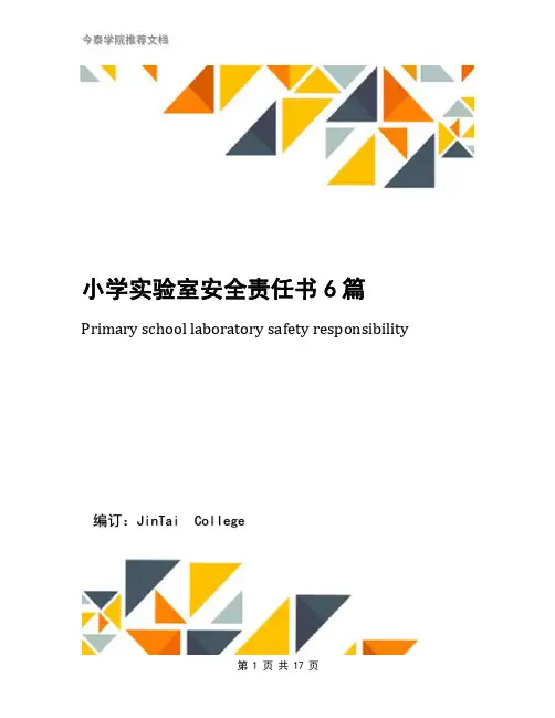 小学实验室安全责任书6篇