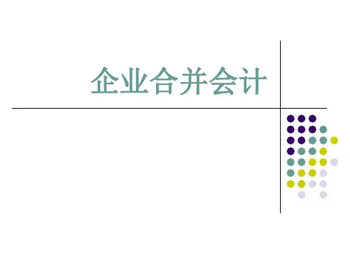 企业合并2010修改