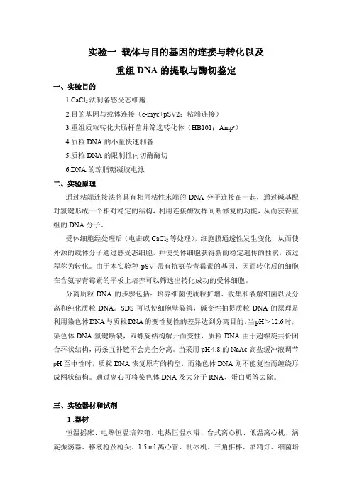 载体与目的基因的连接与转化以及重组DNA的提取与酶切鉴定