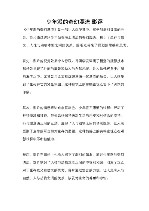 少年派的奇幻漂流 影评