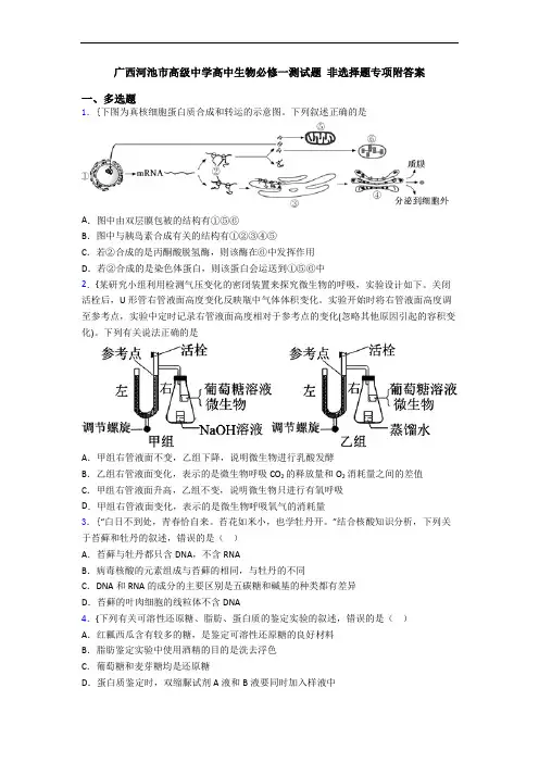广西河池市高级中学高中生物必修一测试题 非选择题专项附答案
