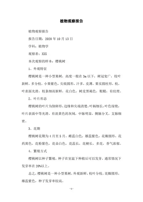植物观察报告