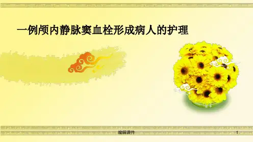 一例颅内静脉窦血栓形成病人的护理PPT课件