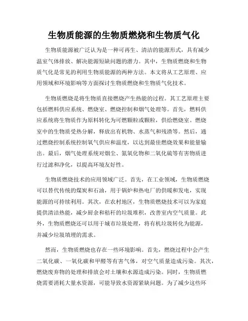 生物质能源的生物质燃烧和生物质气化