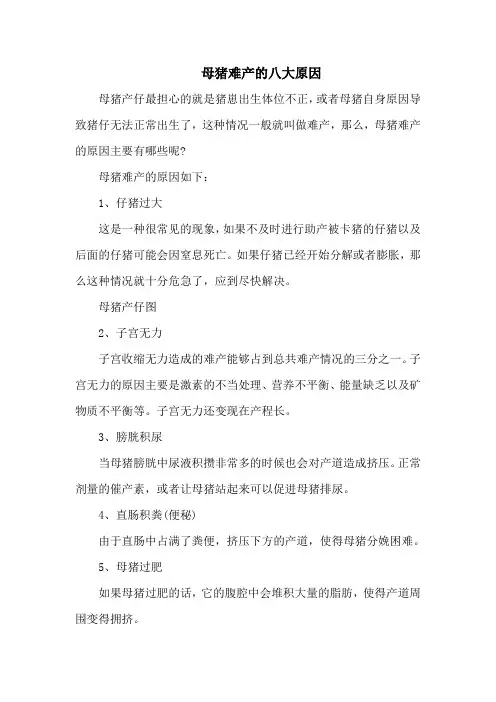 母猪难产的八大原因