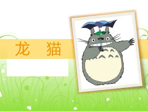 龙猫-PPT课件