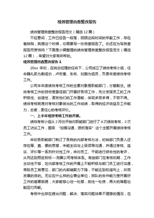 绩效管理自查整改报告范文（精选12篇）