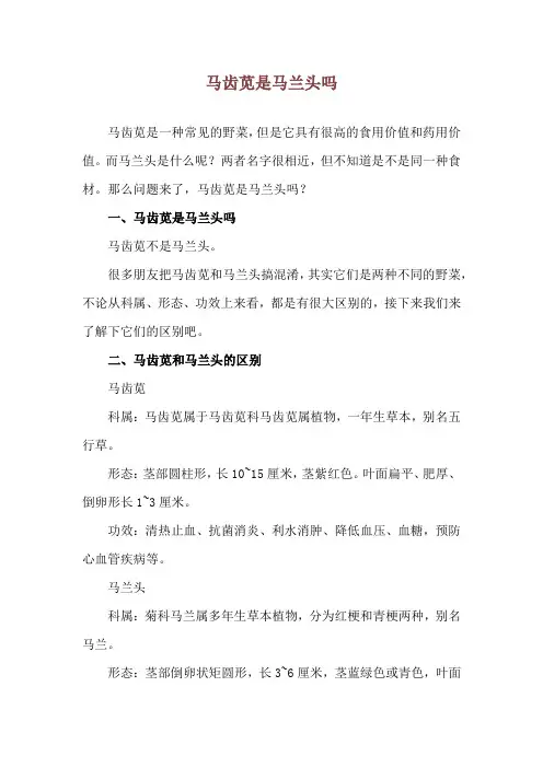 马齿苋是马兰头吗