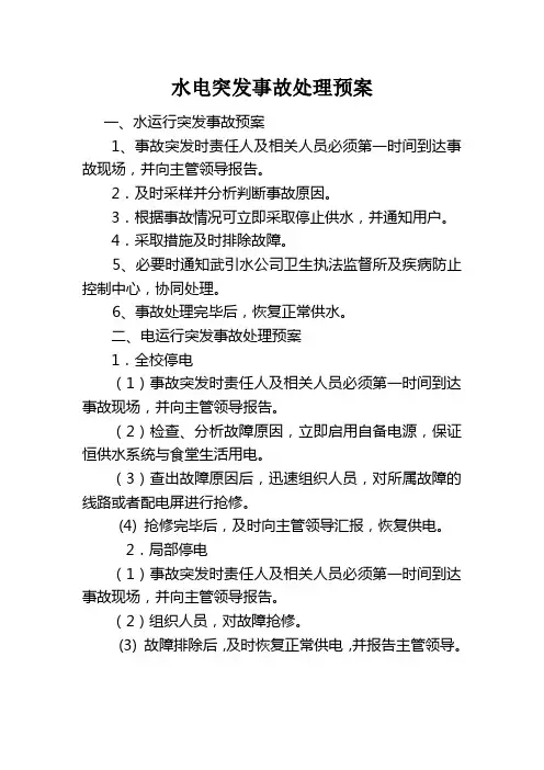 水电突发事故处理预案