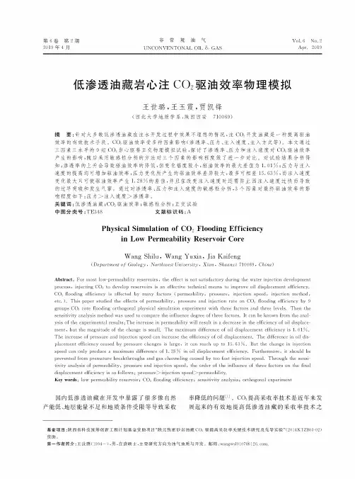 低渗透油藏岩心注CO2驱油效率物理模拟
