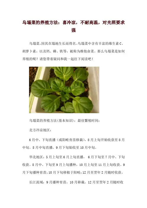 乌塌菜的养殖方法：喜冷凉,不耐高温,对光照要求强