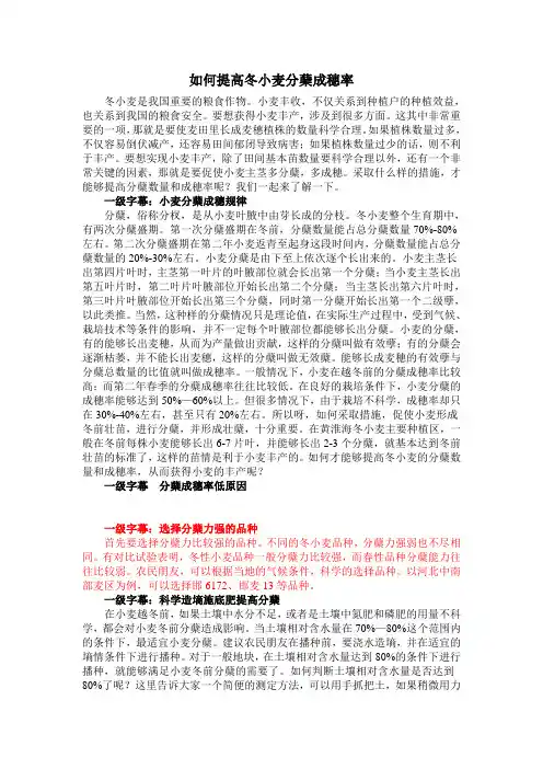 如何提高冬小麦分蘖成穗率