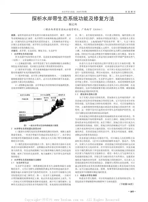 探析水岸带生态系统功能及修复方法