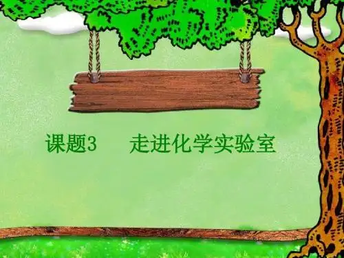 走进化学实验室(第二课时)