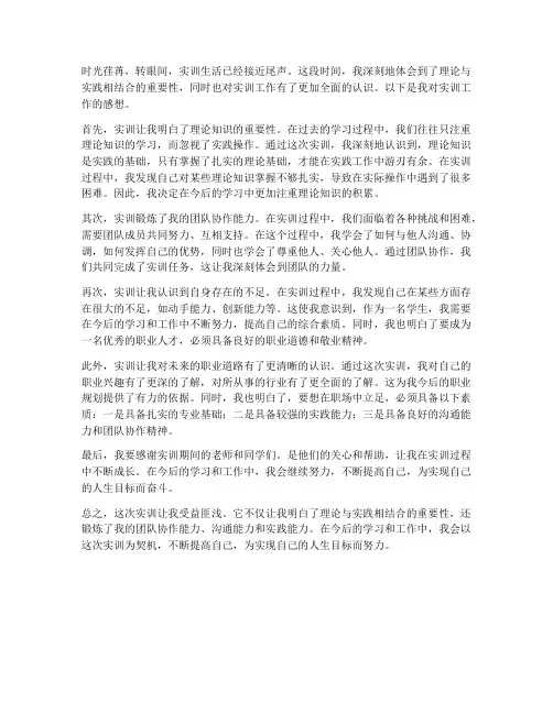 实训工作日志感想
