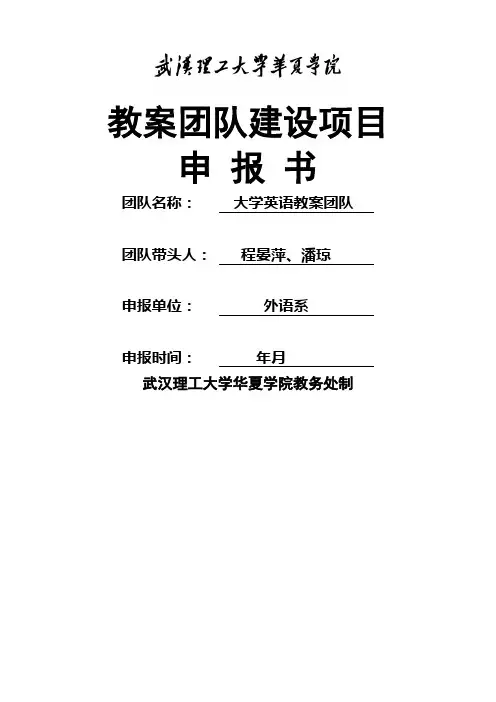 教学团队建设项目