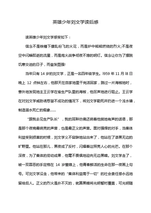 英雄少年刘文学读后感
