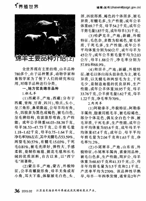 绵羊主要品种介绍(上)