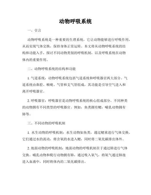 动物呼吸系统