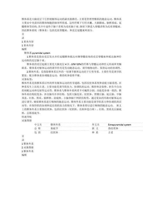 锥体系是