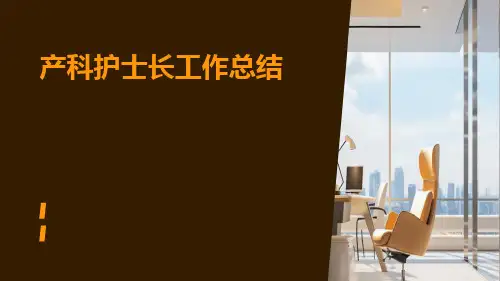 产科护士长工作总结PPT