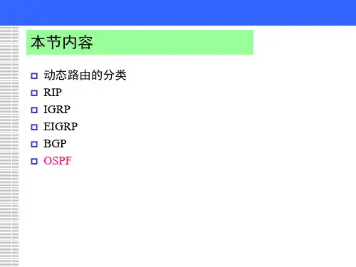 动态路由ppt课件