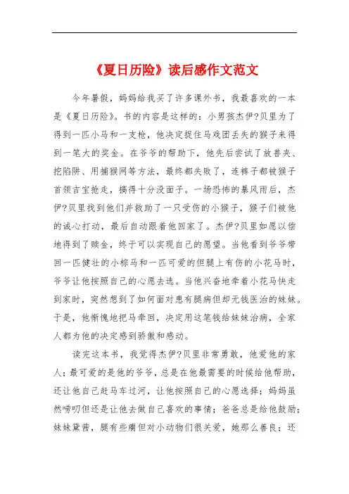 《夏日历险》读后感作文范文