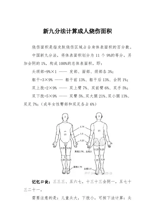 新九分法计算成人烧伤面积