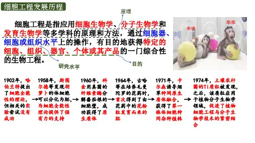 植物组织培养技术课件高二下学期生物人教版2019 选择性必修3