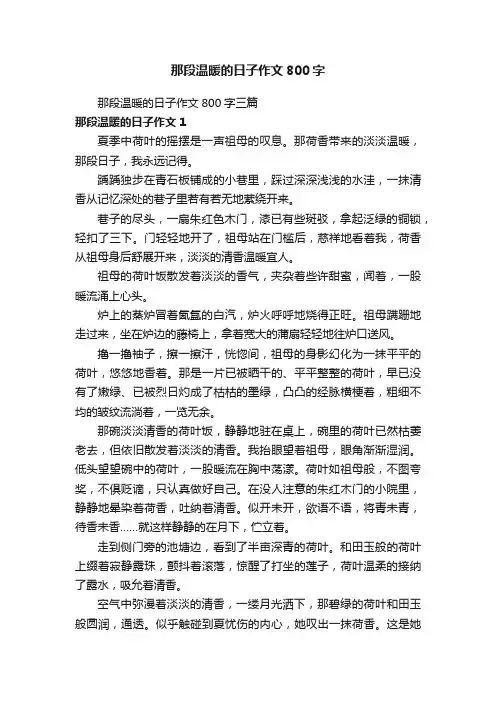 那段温暖的日子作文800字三篇