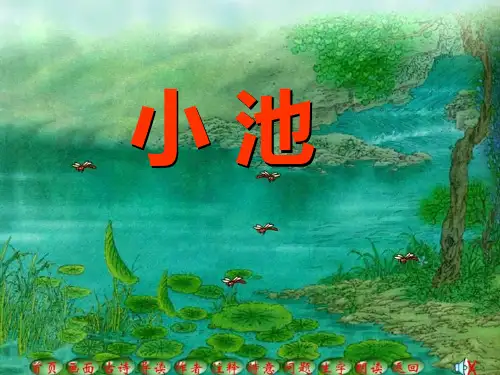 古诗小池PPT课件