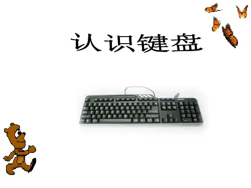 苏科版新版信息技术三年级上册第6课认识键盘