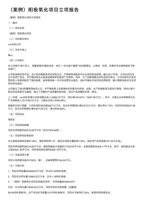 （案例）阳极氧化项目立项报告