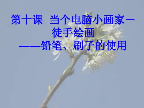 小学信息技术画图工具使用课件
