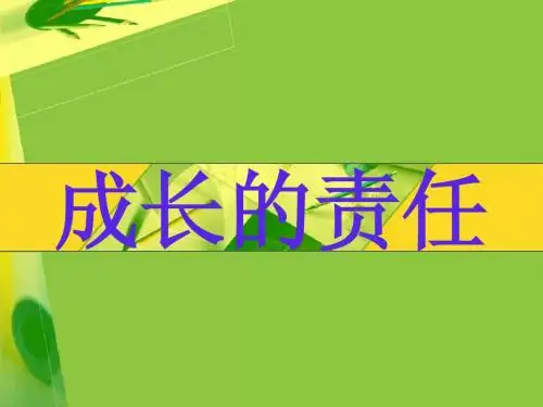 承担对社会的责任