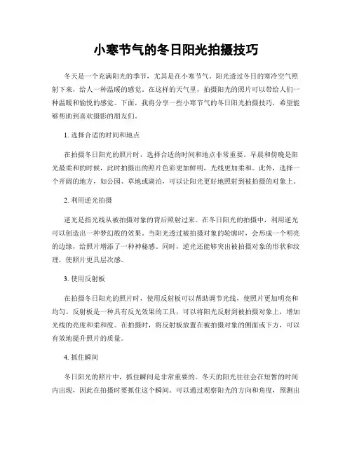 小寒节气的冬日阳光拍摄技巧