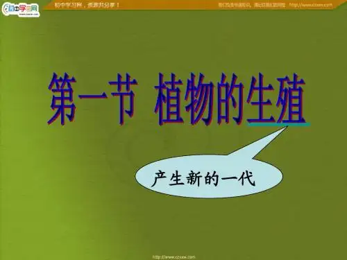 《植物的生殖》课件(人教版