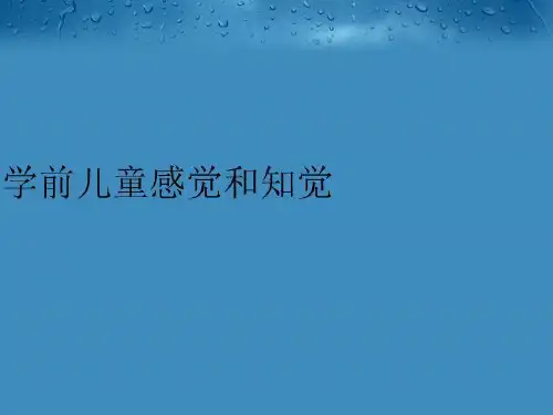 【精品】学前儿童感觉和知觉PPT课件