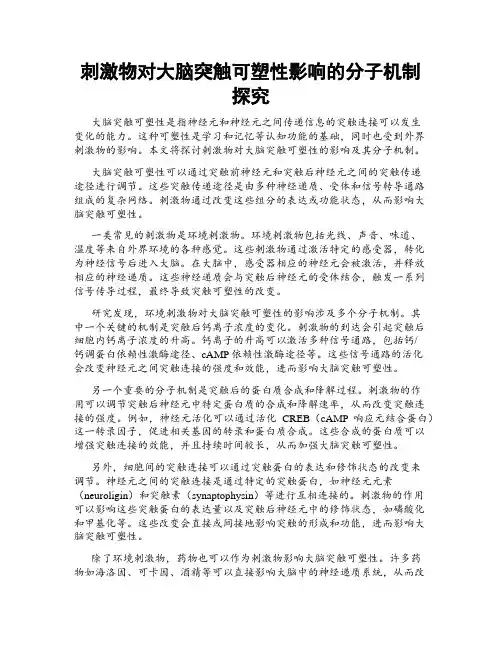 刺激物对大脑突触可塑性影响的分子机制探究