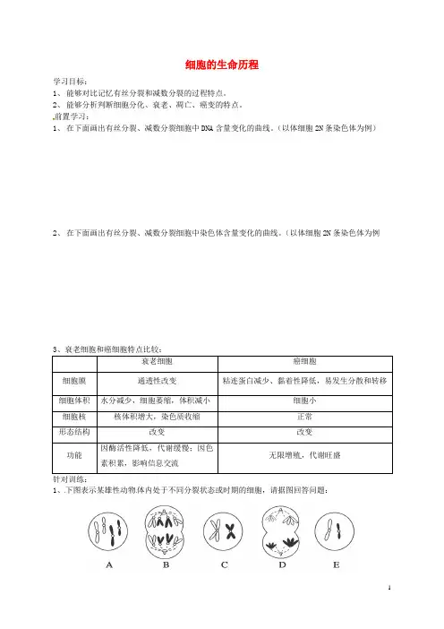 高考生物总复习专题三细胞的生命历程导学案