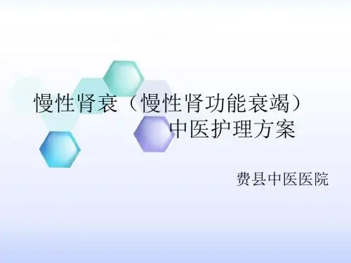 肛漏病肛瘘中医护理方案PPT课件