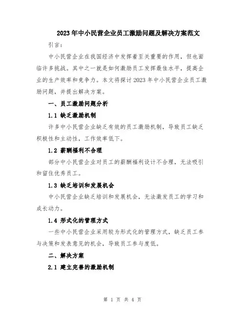 2023年中小民营企业员工激励问题及解决方案范文