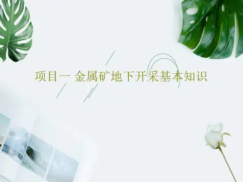 项目一 金属矿地下开采基本知识共51页PPT