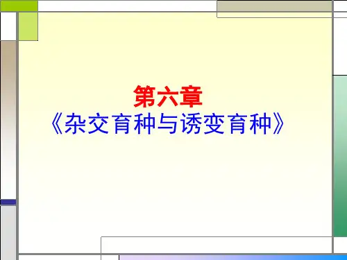 一轮复习第六章《从杂交育种到基因工程》